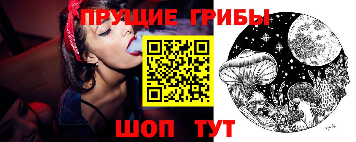 Михайловск  Псилоцибиновые грибы прущие грибы  Вход с VPN 